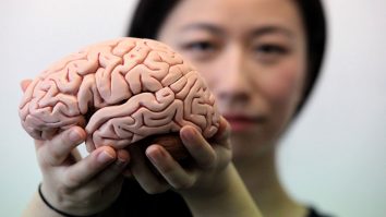 STUDIU. Creierul omului s-a mărit de la generație la generație