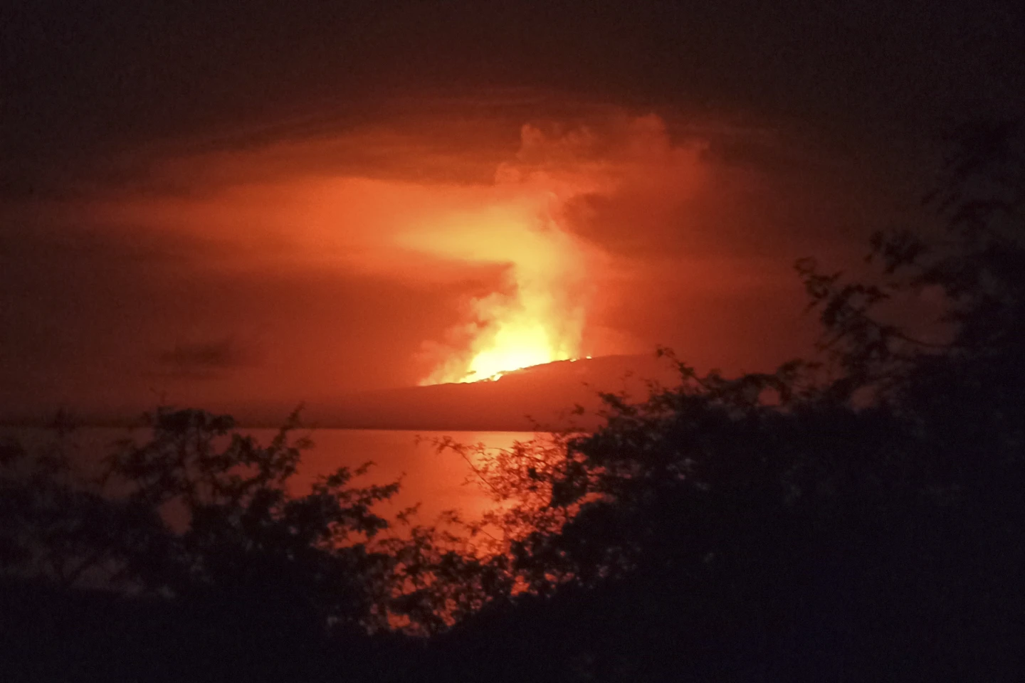 Un vulcan de pe o insulă nelocuită din Galapagos a erupt. Lava a ajuns în mare