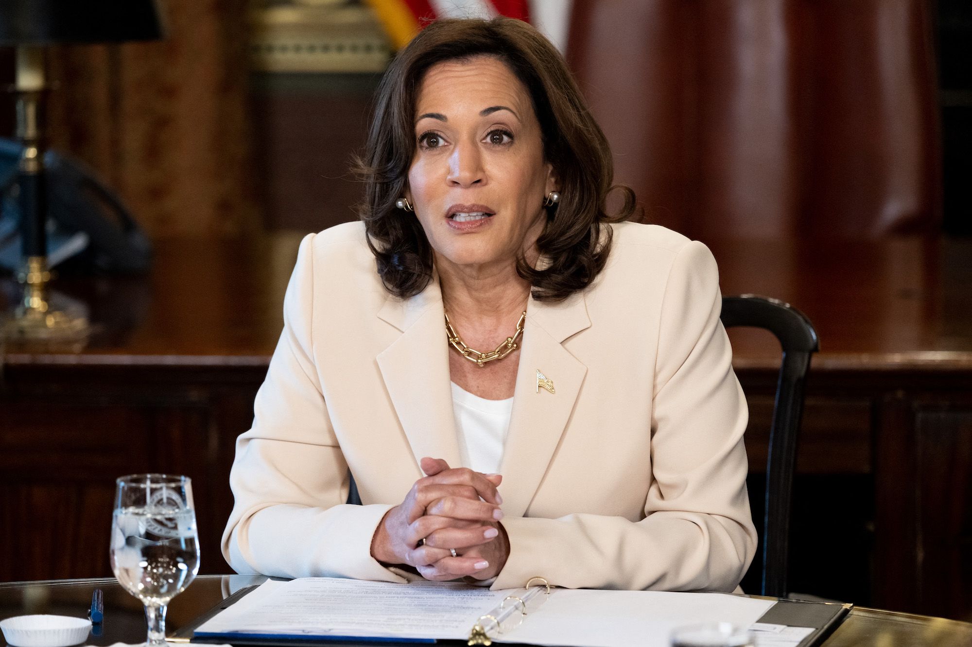 Kamala Harris anunță un nou birou pentru a pune în aplicare legile de control al armelor de foc cu „steag roșu”