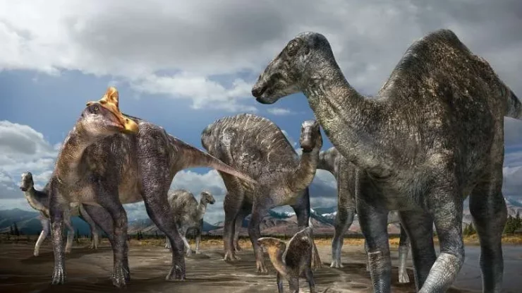 Un bărbat a descoperit accidental o fosilă de dinozaur veche de 70 de milioane de ani. Scheletul de titanosaur a fost ținut secret 2 ani