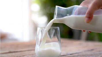 Laptele ar putea trata diabetul. Cercetătorii se laudă că o singură vacă brună modificată genetic poate produce insulină pentru mii de oameni