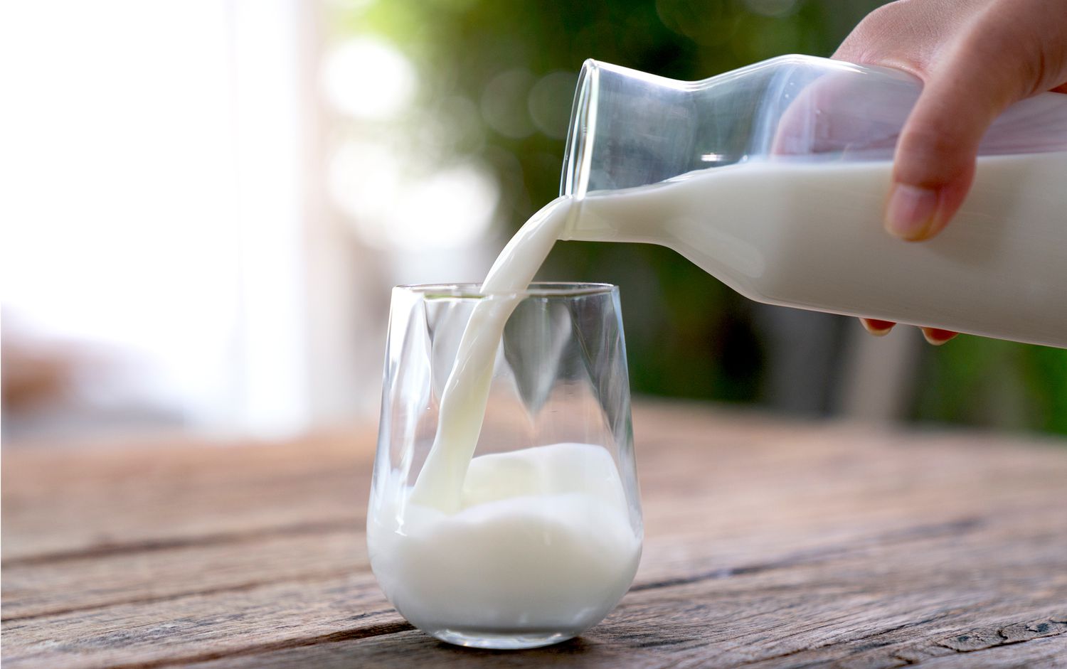 Laptele ar putea trata diabetul. Cercetătorii se laudă că o singură vacă brună modificată genetic poate produce insulină pentru mii de oameni