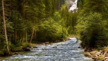 Tu cum protejezi natura? Activist de mediu: „Efectele sunt dramatice. Natura oferă niște servicii care, din păcate, nu sunt monetizate”