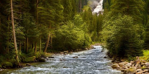 Tu cum protejezi natura? Activist de mediu: „Efectele sunt dramatice. Natura oferă niște servicii care, din păcate, nu sunt monetizate”