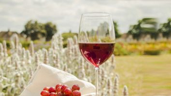 Care este vinul anului 2023?  Alege o sticlă de culoare închisă dacă vrei să bei un vin alb sau rosé