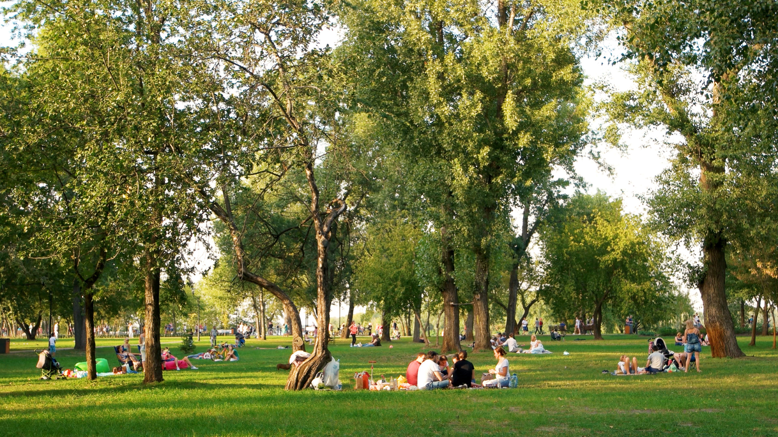 Cum va fi vremea în weekend? Maximele ajung până la 17 grade Celsius