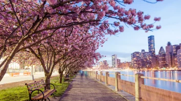 Azi începe primăvara. Cum va fi vremea în următoarea săptămână