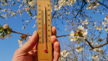 Cum va fi vremea în weekend? În Capitală te bucuri de soare și amiezi cu 18-20°C