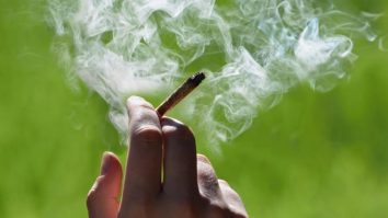Ziua de 20 aprilie este asociată cu consumul de marijuana. Care este originea acestei sărbători?