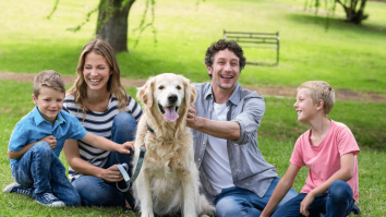 STUDIU. Animalele pot înțelege limba noastră. Ce au descoperit cercetătorii