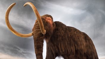 Jurassic Park devine realitate. A.I. ar putea să readucă la viață mamutul, diavolul Tasmanian și pasărea Dodo