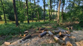 Centura Verde București-Ilfov este înscrisă ca amendament în noul Cod Silvic, la un an după ce a fost înaintată Parlamentului: „Aerul nu are culoare politică”