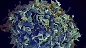 CDC a identificat primul caz de HIV prin proceduri cosmetice. Cum a fost transmisă boala