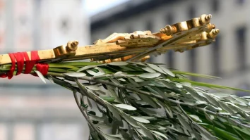 Astăzi sărbătorim Duminica Floriilor. Care este legenda acestei zile și ce semnifică simbolul salciei