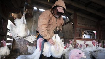 O persoană din Texas a fost diagnosticată cu o gripă aviară rară. Este al doilea caz uman din SUA cu acest virus