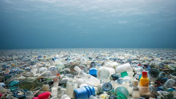 Cum te afectează poluarea? Biolog: „Fragmentele de plastic ajung în țesut și nu există mecanisme care să le distrugă”