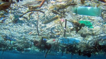 11 milioane de tone de plastic se află pe fundul oceanului. Adrian Bîlbă: „Acest nanoplastic va pătrunde în corpul vietăților marine, pe care le consumăm”