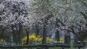 Vremea rămâne răcoroasă astăzi și maximele nu trec de 18°C. Ce temperaturi ai la munte