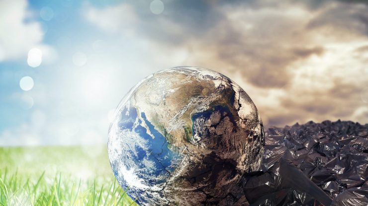 Ce rol joacă profesorii în educația despre schimbările climatice. Berceanu: „Trebuie să fim mai grijulii cu ecosistemele”