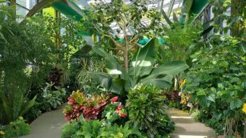 Serele exotice din Parcul Drumul Taberei au trecut la programul de vară. Când le poți vizita gratuit