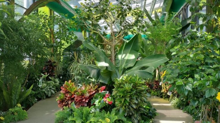 Serele exotice din Parcul Drumul Taberei au trecut la programul de vară. Când le poți vizita gratuit