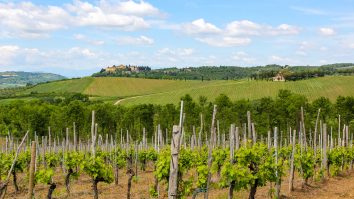 Cum stă România la turism viticol? Cea mai importantă și cunoscută cramă din țară se află la 27 de km de Focșani