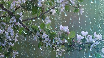 Prognoza meteo pentru următoarele 4 săptămâni: Ultima săptămână din aprilie va fi mai rece ca de obicei