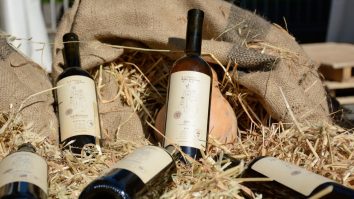 Vinurile vegane sunt noua tendință. Constantin Pruteanu: „Acestea nu au în componența lor elemente de albumină sau proteină lactată pentru a face filtrarea”