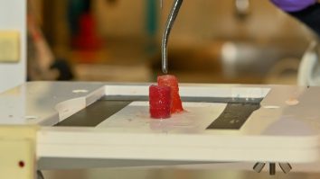 Inginerii de la ESA au creat vase de sânge prin bioprintare 3D. Modelul va studia cum se comportă inima în condiții de gravitație scăzută