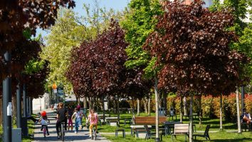 Cum va fi vremea în weekend? Ai maxime de 32°C în București