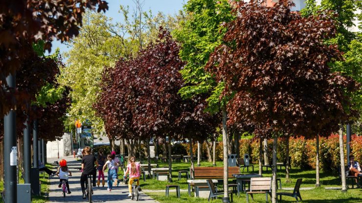 Cum va fi vremea în luna iunie? ANM a emis prognoza meteo pentru următoarele 4 săptămâni