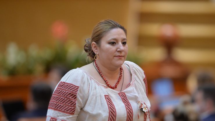 Diana Șoșoacă, după ridicarea lui Călin Georgescu: „Dacă AUR şi POT consideră că trebuie să îl apere, să îl apere. E dreptul lor”