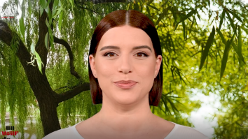 Un vârf de…Salcie