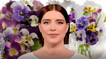 Un vârf de…Panseluță