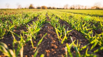 Ce vor fermierii români de la Uniunea Europeană? Problemele întâmpinate de agricultorii români l-au determinat pe Comisarul UE să vină pe teren