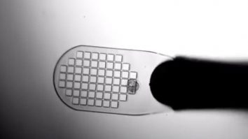 Inteligența Artificială ajută femeile să rămână însărcinate. În Mexic, roboții sunt folosiți pentru procedura de fertilizare in vitro