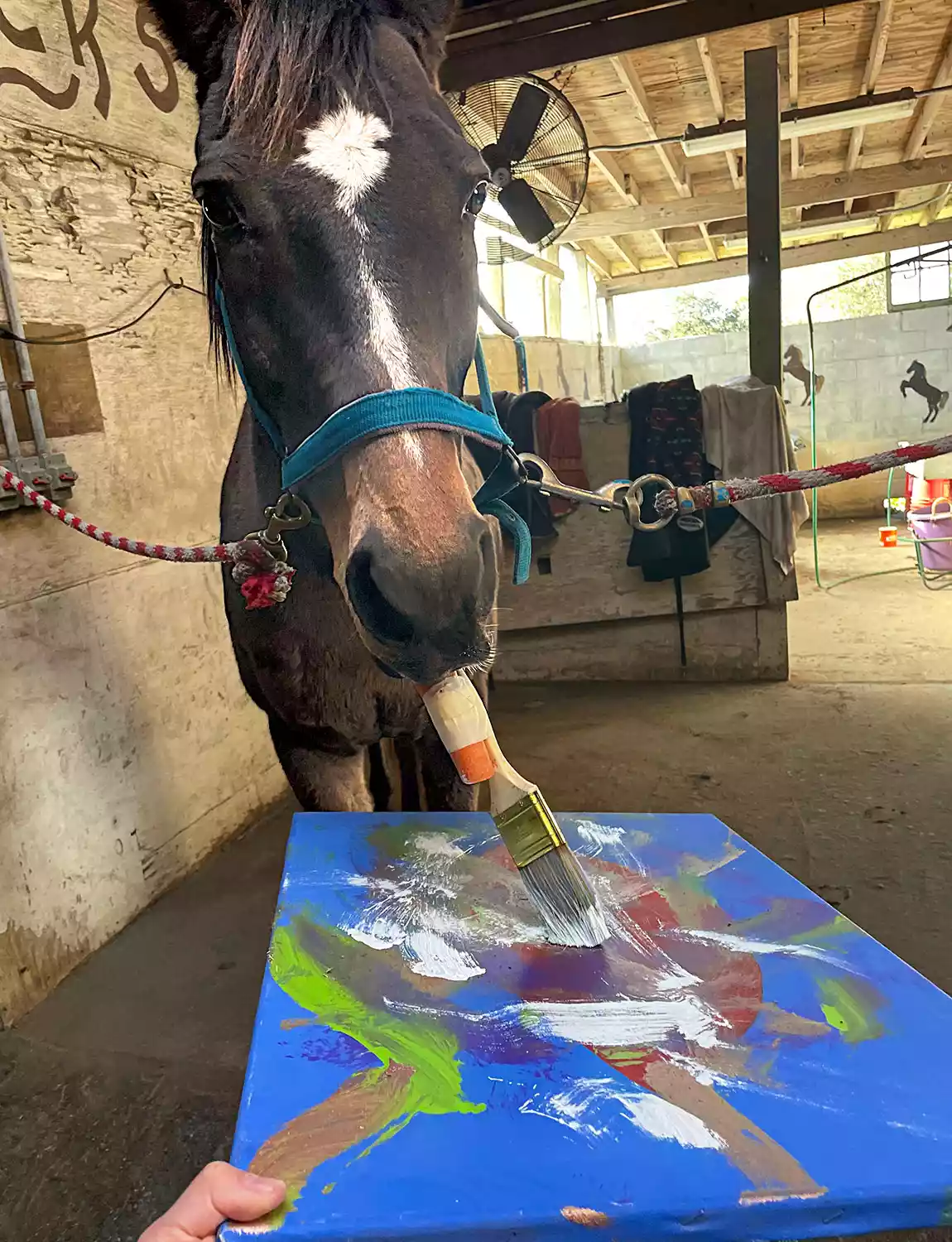 Un cal pictează tablouri cu ajutorul unui morcov