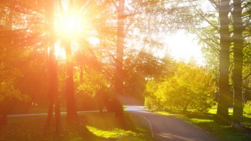 Vara îşi intră în drepturi. Prognoza meteo pentru următoarele două săptămâni: temperaturi de 30 de grade