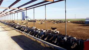 Oamenii de știință se tem că gripa aviară s-a răspândit pentru prima dată de la mamifere la oameni