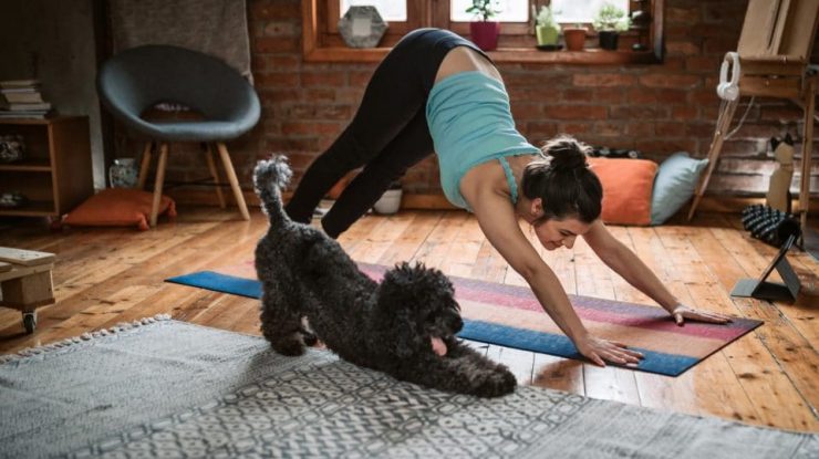 Italia interzice yoga pentru căței din motive de bunăstare a animalelor. Ce presupune Puppy Yoga