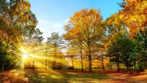 Vremea se încălzește treptat în weekend. Duminică vor fi 26 de grade Celsius în Capitală