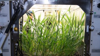 Un start-up vrea să crească legume în spațiu în 2026. Grădina vegetală va fi instalată pe prima stație spațială comercială din lume