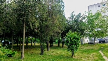 Cum faci din București un oraș verde? 35 de experți vin cu soluții pentru o Capitală mai curată