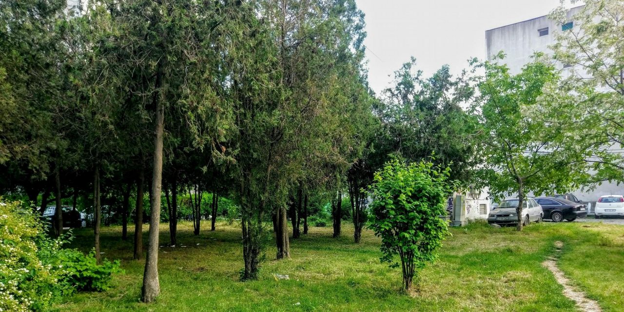 Cum faci din București un oraș verde? 35 de experți vin cu soluții pentru o Capitală mai curată