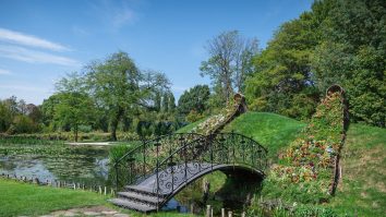 România şi-a majorat suprafaţa spaţiilor verzi cu 50% în decurs de 15 ani. Ce se poate face în București