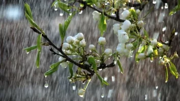 Prognoză meteo pentru următoarele patru săptămâni: Vreme capricioasă în România până în iunie