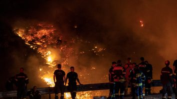 Ai grijă dacă mergi în Grecia. Țara se confruntă cu 45 de incendii. 6 turiști au murit din cauza căldurii