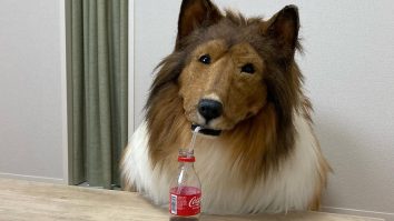 Bărbatul care a cheltuit 14.000 de euro ca să „devină” câine renunță la visul său. Japonezul vrea să fie urs, vulpe sau pisică