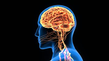 Copiii trebuie să își folosească ambele emisfere ale creierului. Medic: „Copilul își va încetini puterea universală, deoarece corpul va crește dezechilibrat la nivel postural”