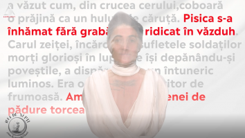 1001 de nopți. Întunericul luminos